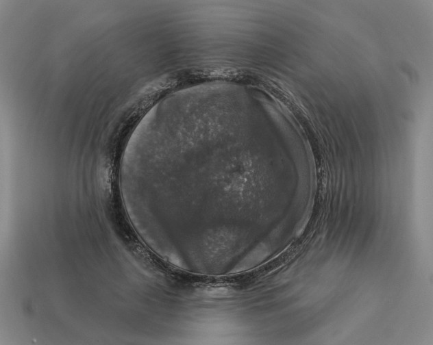 X0000114440643200911061704