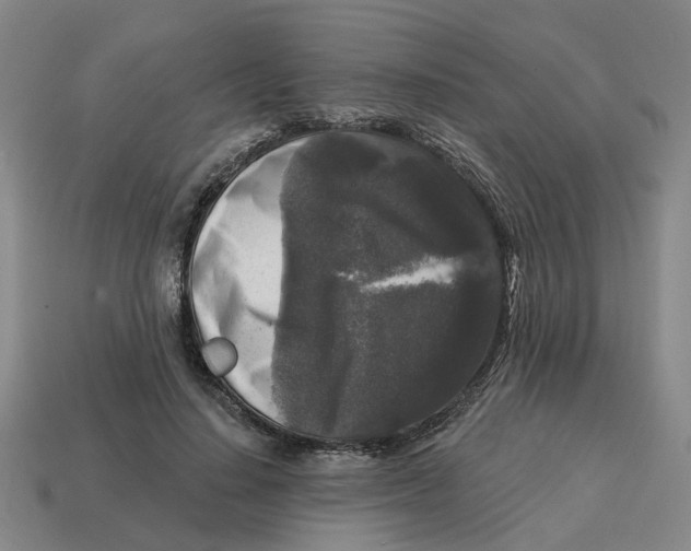 X0000114440644200911061704