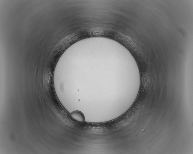 X0000114440645200911061704