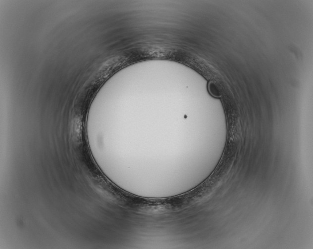 X0000114440646200911061704