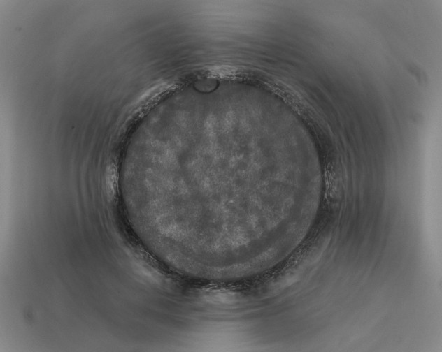 X0000114440648200911061704