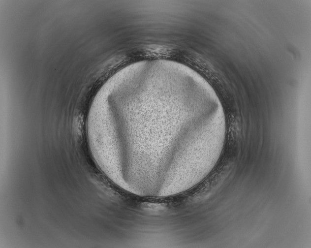 X0000114440649200911061704