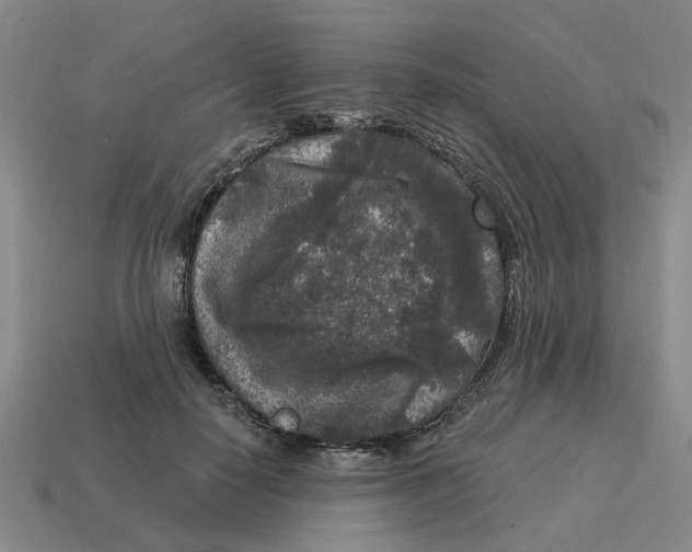 X0000114440650200911061704