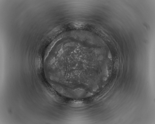 X0000114440651200911061704