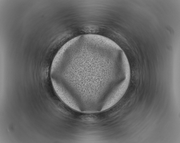 X0000114440652200911061704