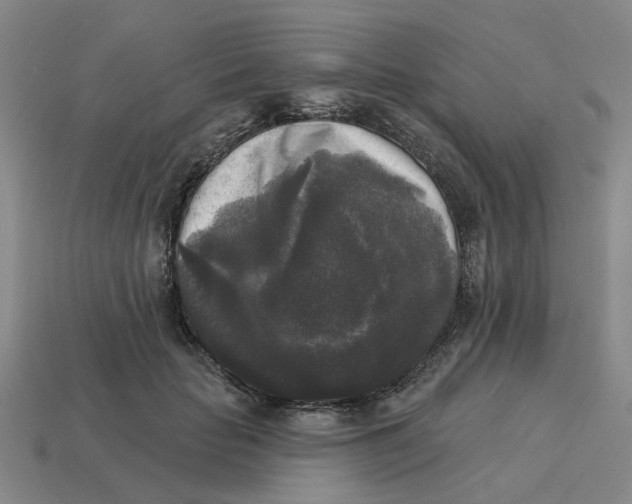 X0000114440653200911061704