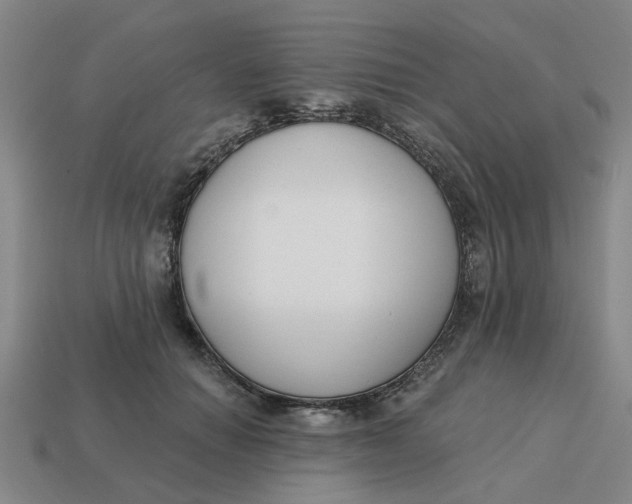 X0000114440654200911061705