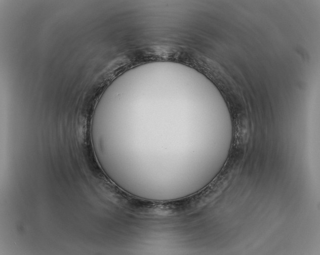 X0000114440656200911061705