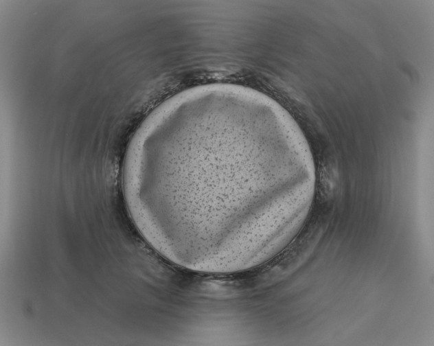 X0000114440657200911061705