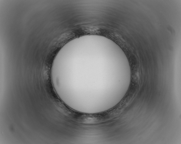 X0000114440658200911061705