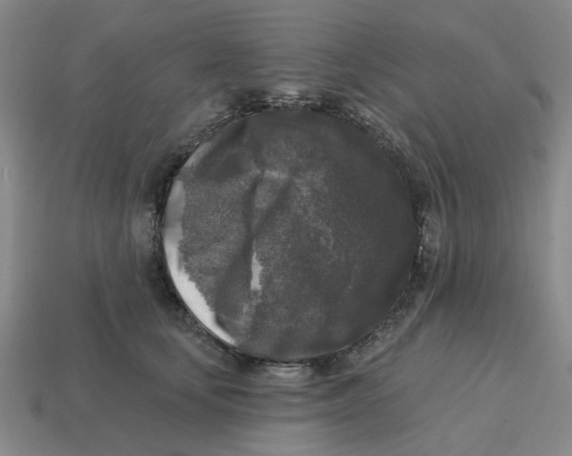 X0000114440659200911061705