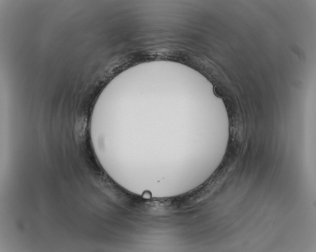 X0000114440660200911061705