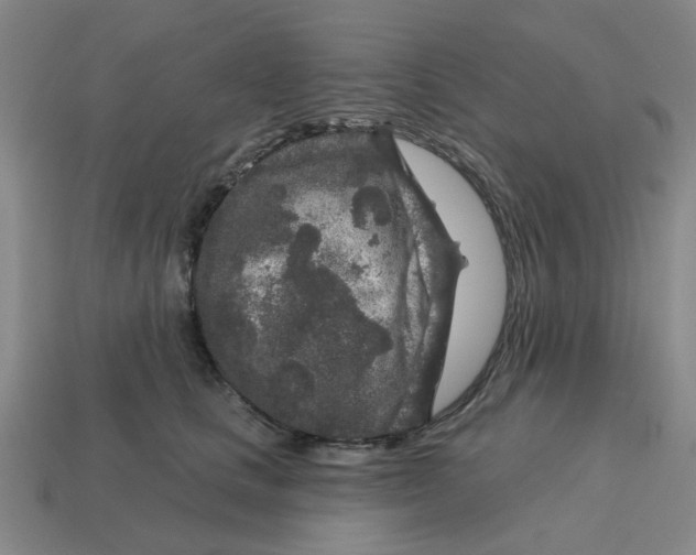 X0000114440661200911061705