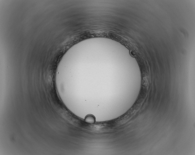 X0000114440662200911061705