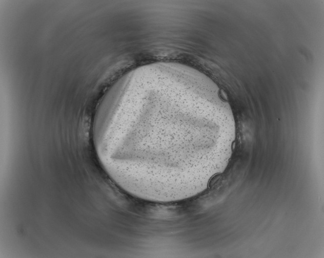 X0000114440664200911061705