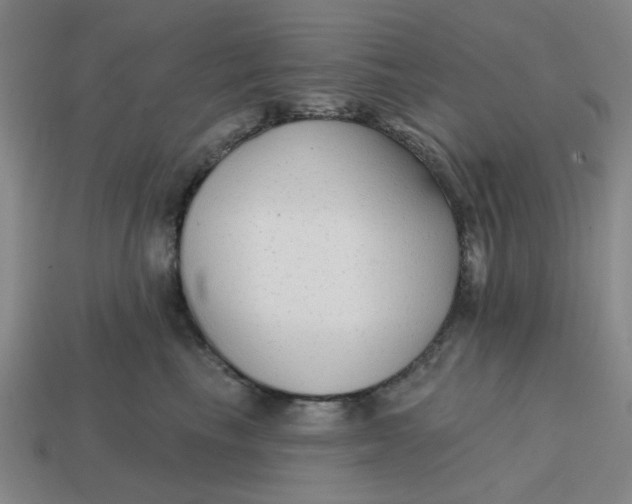 X0000114440665200911061705