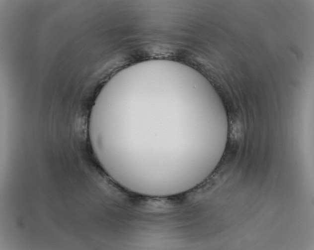 X0000114440666200911061705