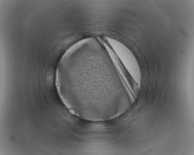 X0000114440668200911061705