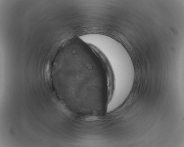 X0000114440669200911061705