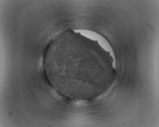 X0000114440670200911061705