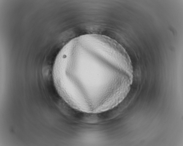 X0000114440671200911061705