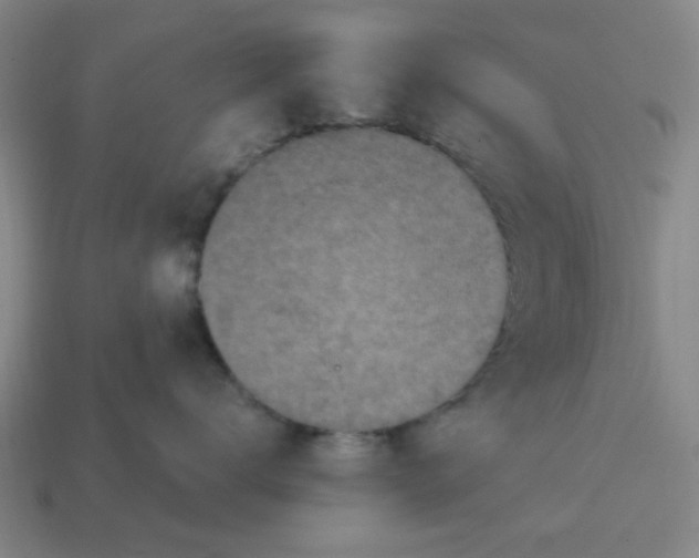 X0000114440672200911061705