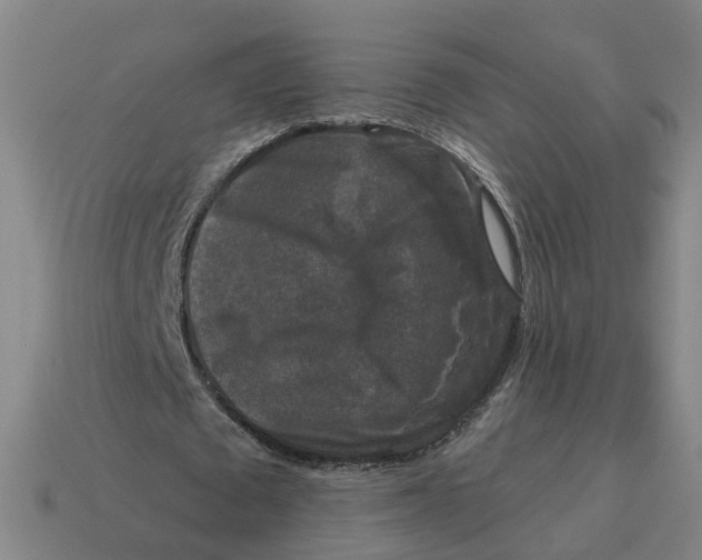 X0000114440673200911061704