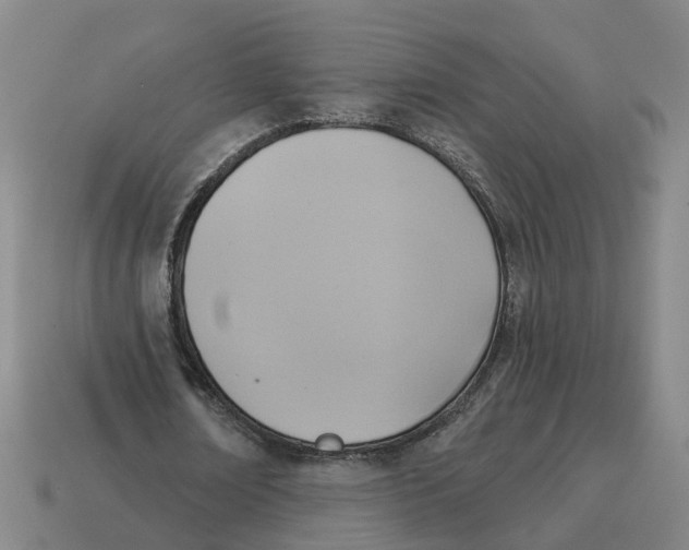 X0000114440674200911061704