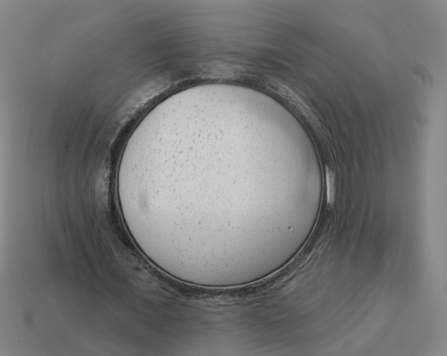 X0000114440675200911061704