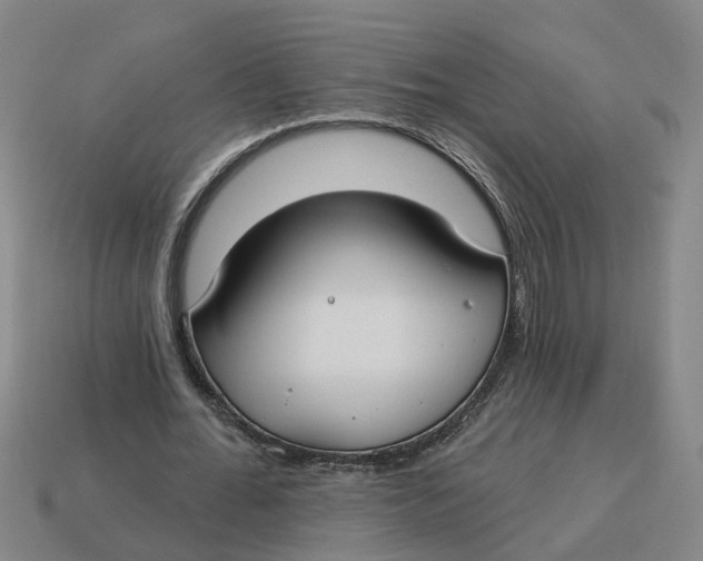 X0000114440676200911061704