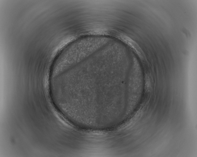 X0000114440677200911061704