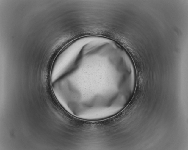 X0000114440679200911061704