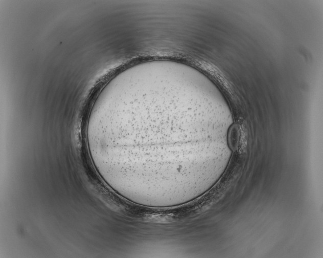 X0000114440680200911061704