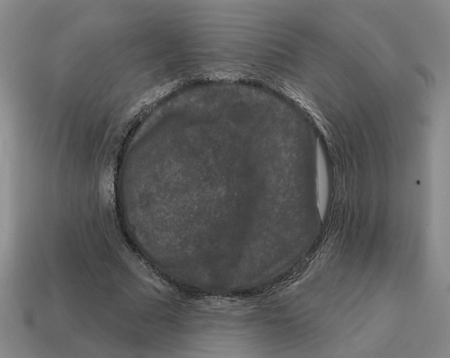 X0000114440681200911061704