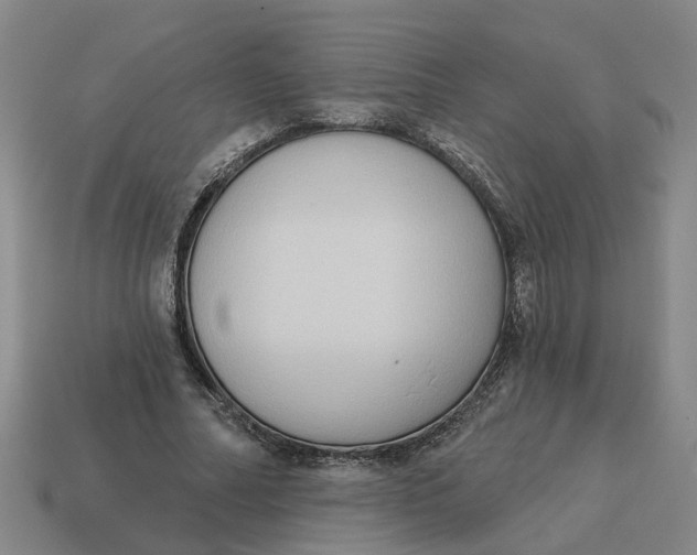 X0000114440682200911061704