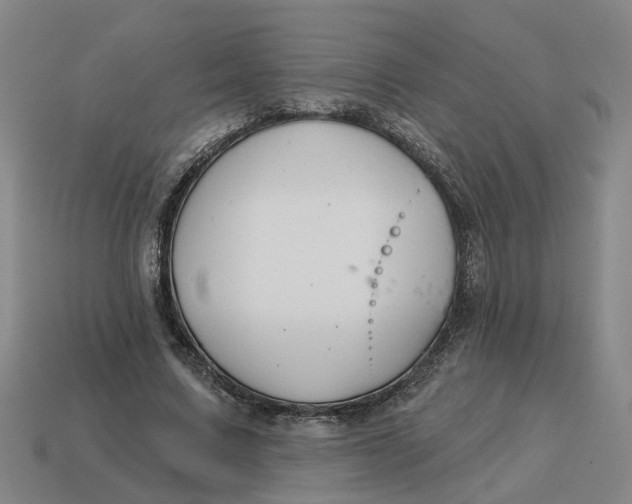 X0000114440683200911061704