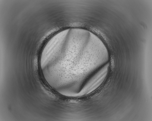 X0000114440684200911061704