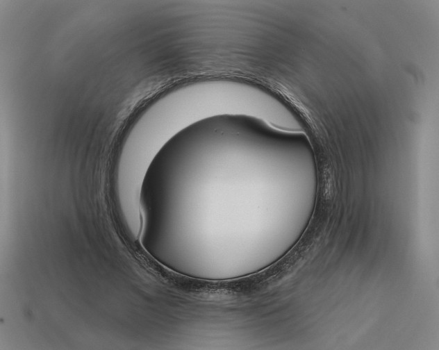 X0000114440685200911061704