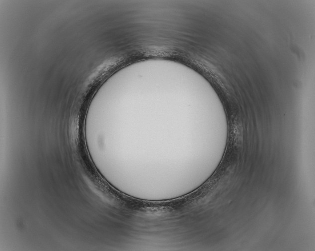 X0000114440686200911061704