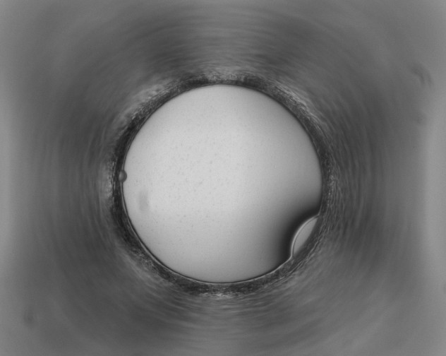 X0000114440687200911061704