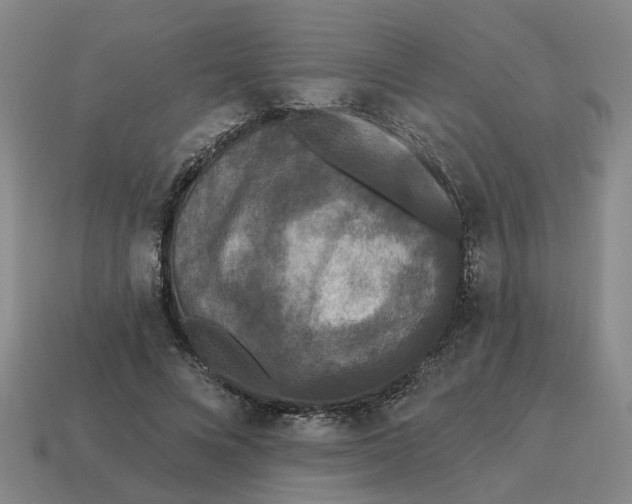 X0000114440688200911061704