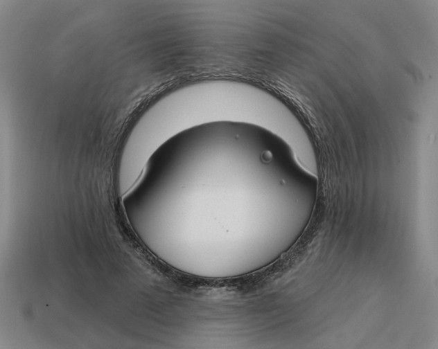 X0000114440689200911061704