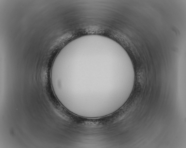 X0000114440690200911061704