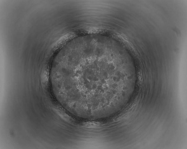 X0000114440691200911061704