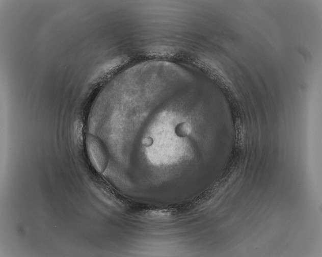 X0000114440692200911061704