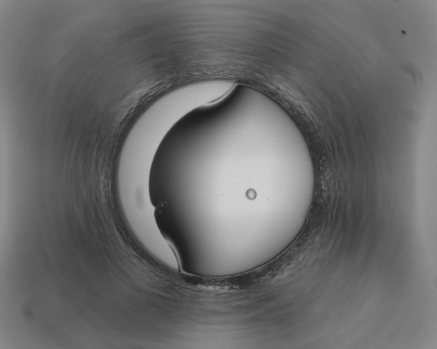 X0000114440693200911061704