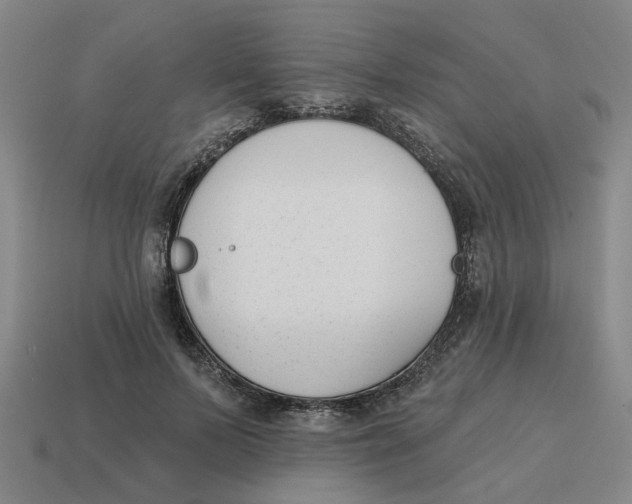 X0000114440695200911061704