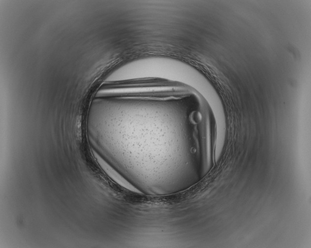 X0000114440696200911061704