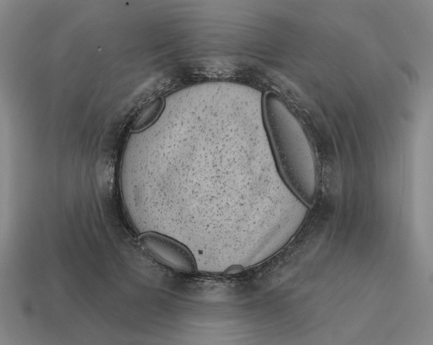 X0000114440697200911061704