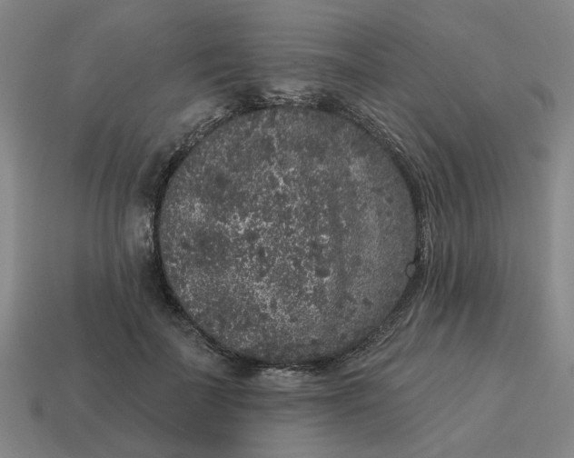 X0000114440699200911061704